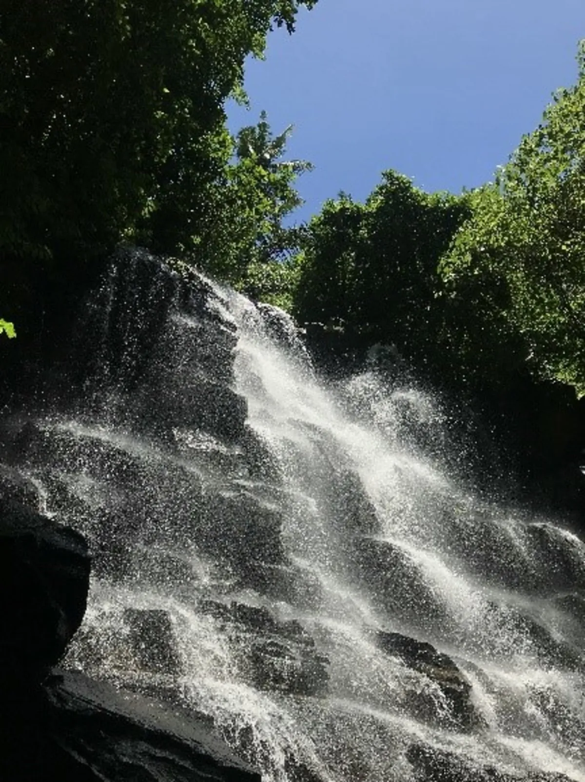 Bytebrand is coding in Bali