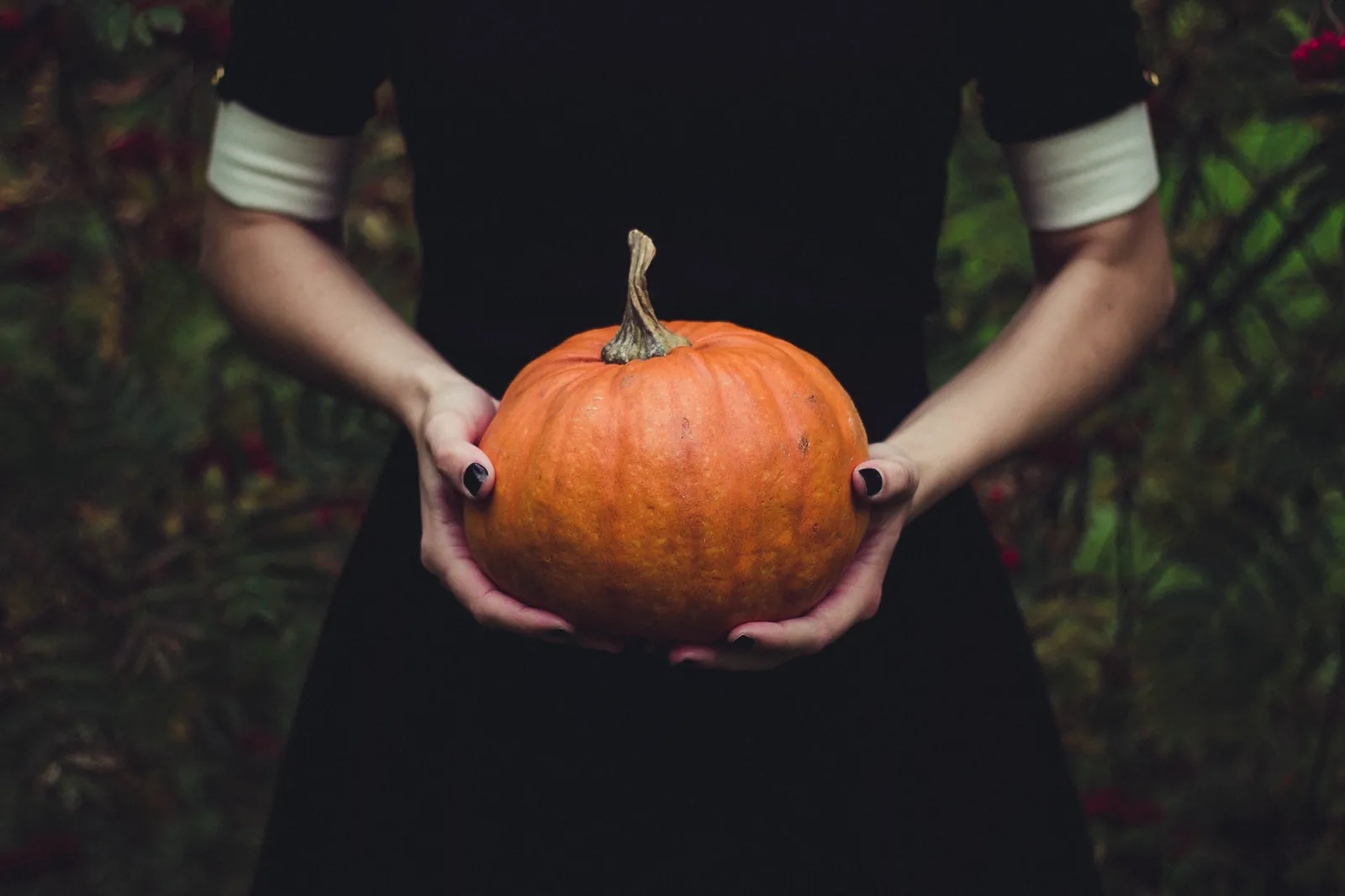 Silly Kids, Halloween is for Grown-Ups