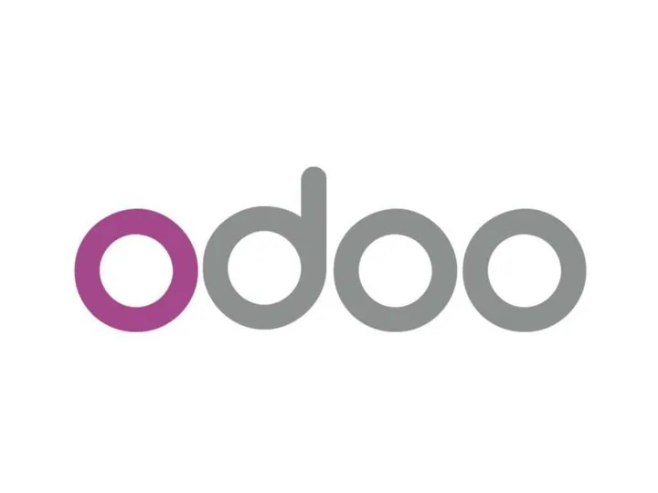 Projekt-Vorschau: Odoo HR Lösung